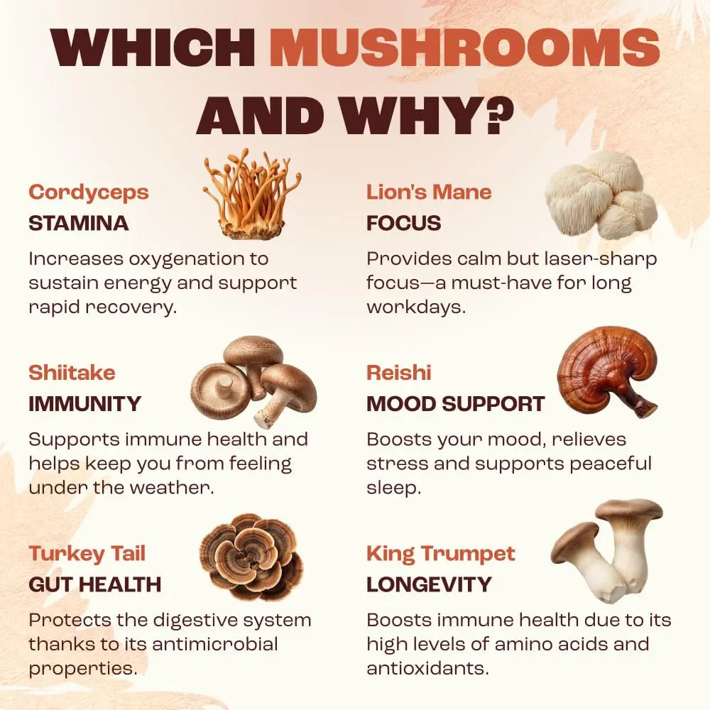 Organic Mushroom Instant Coffee - Medium Roast Adaptogenic Blend with 6 Mushrooms (Lion'S Mane, Turkey Tail, Cordyceps), 30 Servings, Gluten-Free Vegan Energy & Immunity Support Drink