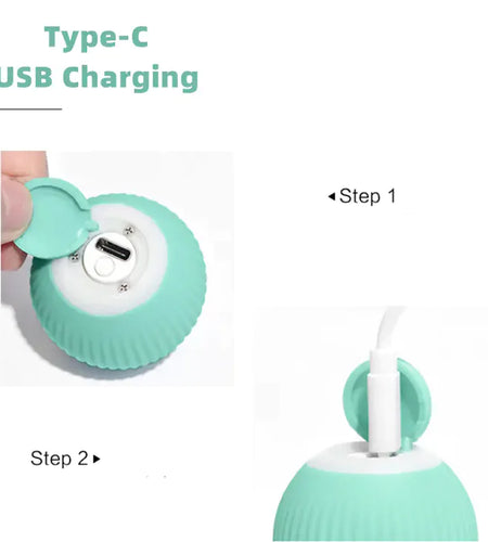 Smart Cat Ball Toys
