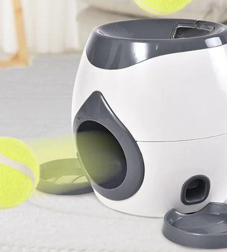 Smart Pet Feeder